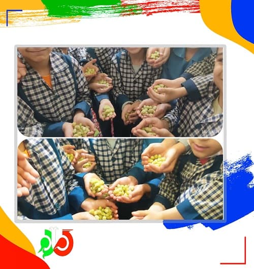 پیش دبستان و دبستان گام دوم